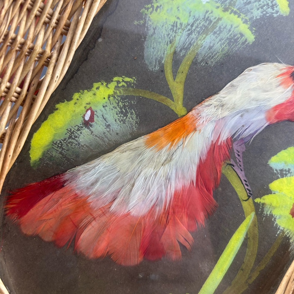 Mexican feather art, also known as Mexican feathercraft or arte plumario - Picture 5 of 7